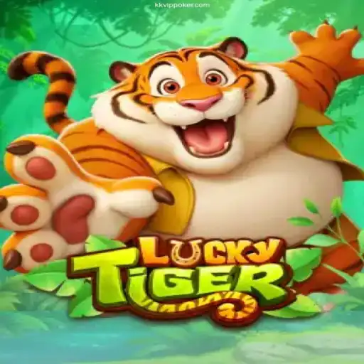 Exploring LuckyTiger: An Exciting Online Casino Experience